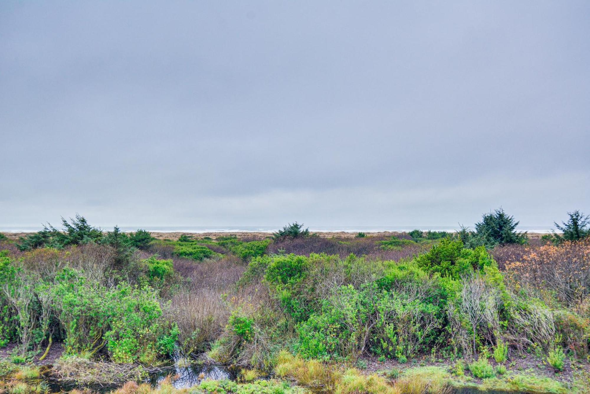 Ocean Shores Condo Rental With View - Walk To Beach! Dış mekan fotoğraf